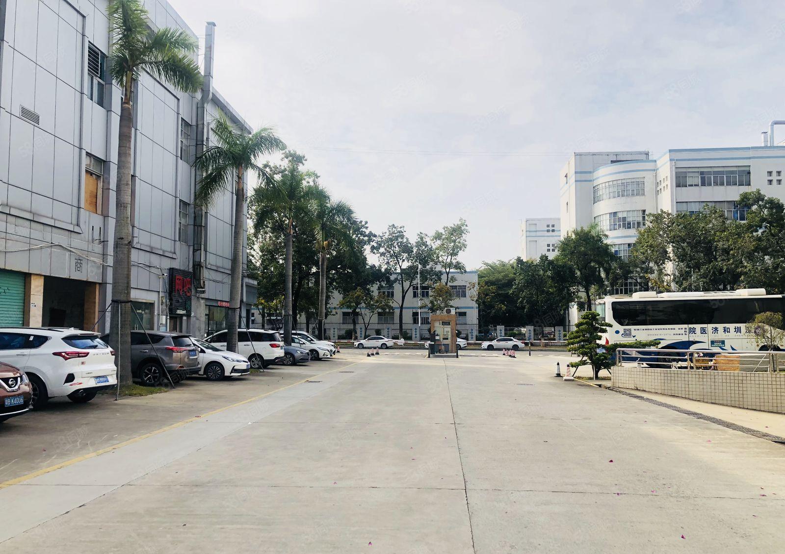 高7米单层4000平带卸货平台龙岗宝龙8000平独栋厂房招租