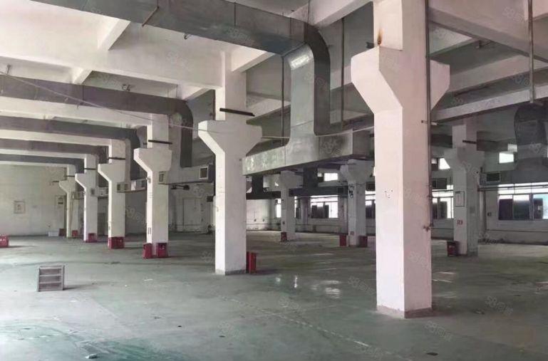 龙岗南联原房东大型工业区仓库厂房出租 500平起分