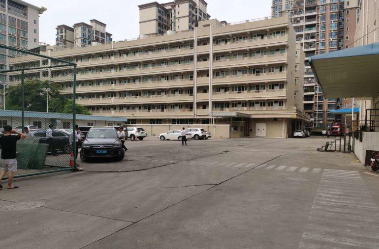 横岗嶂背工业园区一楼300平米出租