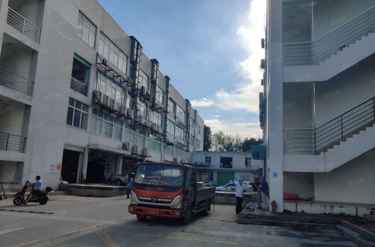 龙岗宝龙原房东红本高新产业园3万平方招租500起分