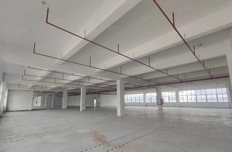 合同10年！龙岗原房东红本10000平独院厂房出租大小分租