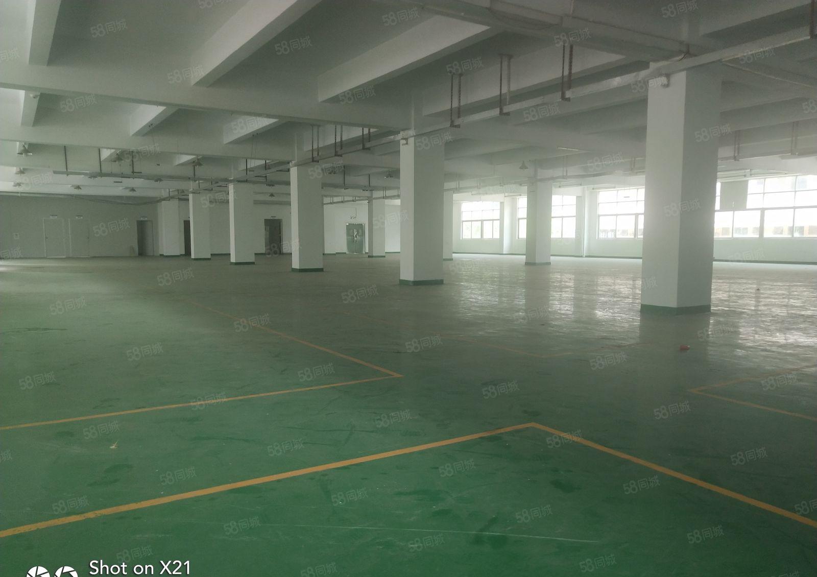 平湖华南厂房一二楼2300平米，二楼1150平米