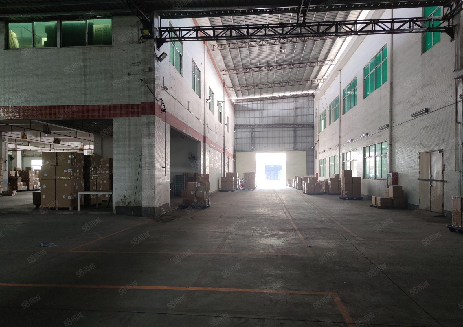 龙岗中心城机菏出口原房东独栋仓库厂房4000平方，可分租
