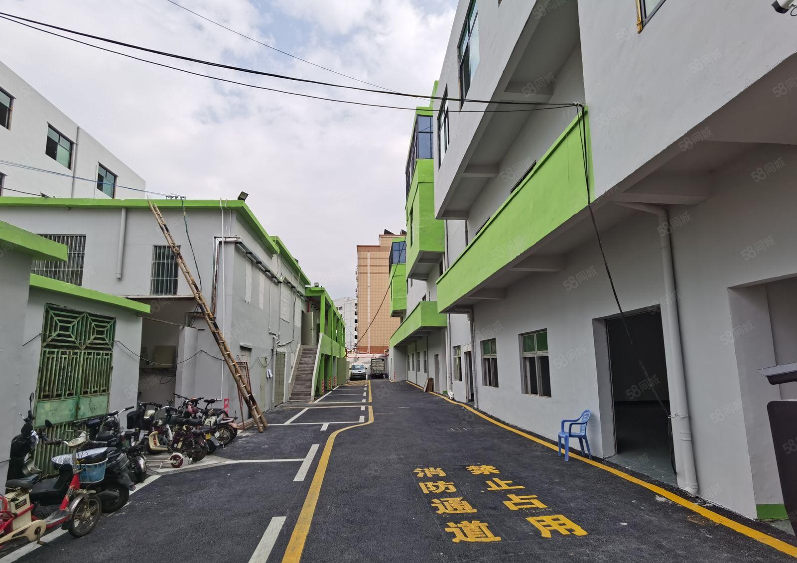 塘坑地铁站240平厂房，全新装修，给钱就租