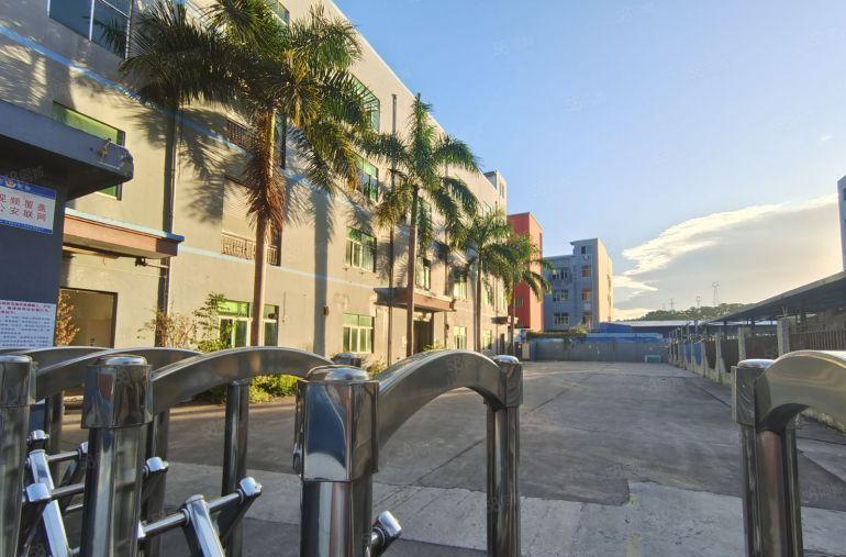 龙岗原房东红本独院6000平方厂房低价出租合同10年主干道边