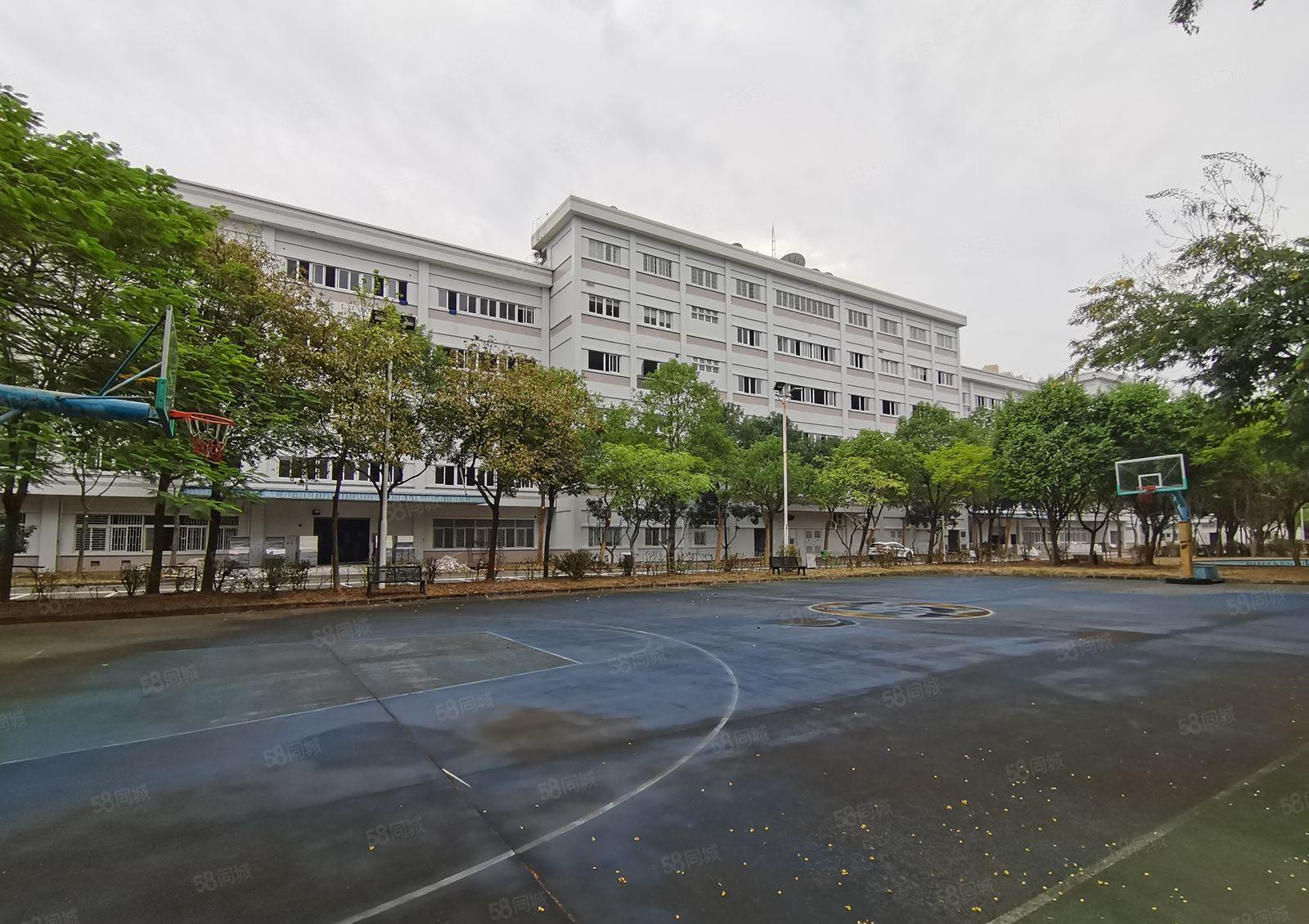 200平起租坂田大型工业园精装修电商办公室仓库厂房出租可分租