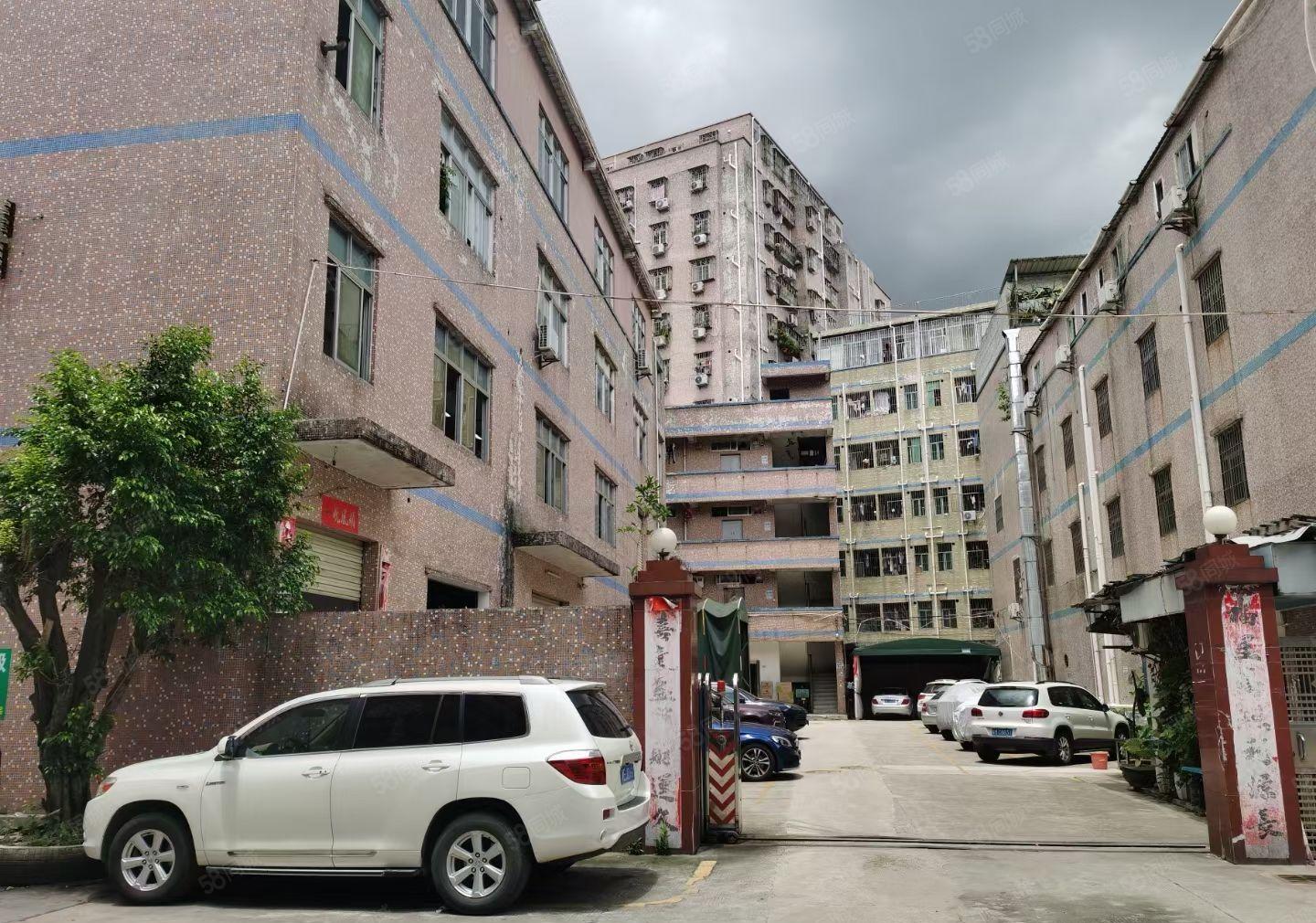 横岗安良独门独院2250平方出租