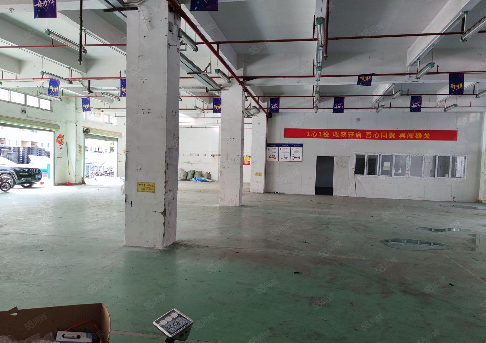 龙岗中心城南联第五工业区一楼厂房分租100至850平方