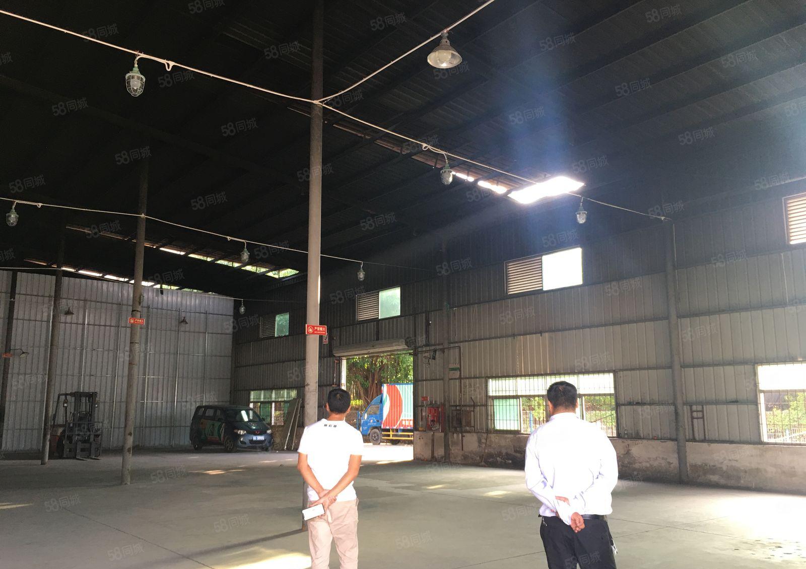 平湖清平高速出口2百5百8百1千平独栋钢构仓库厂房出租可分租