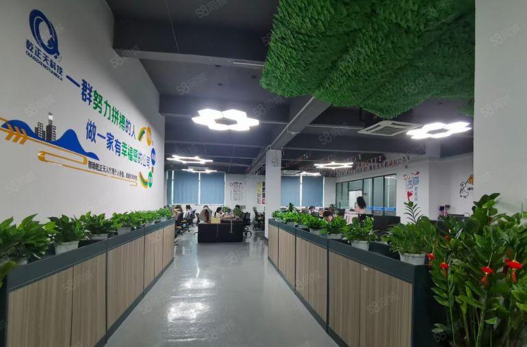 花园式石井高新科技园楼上1000平方精装办公研发仓库厂房出租