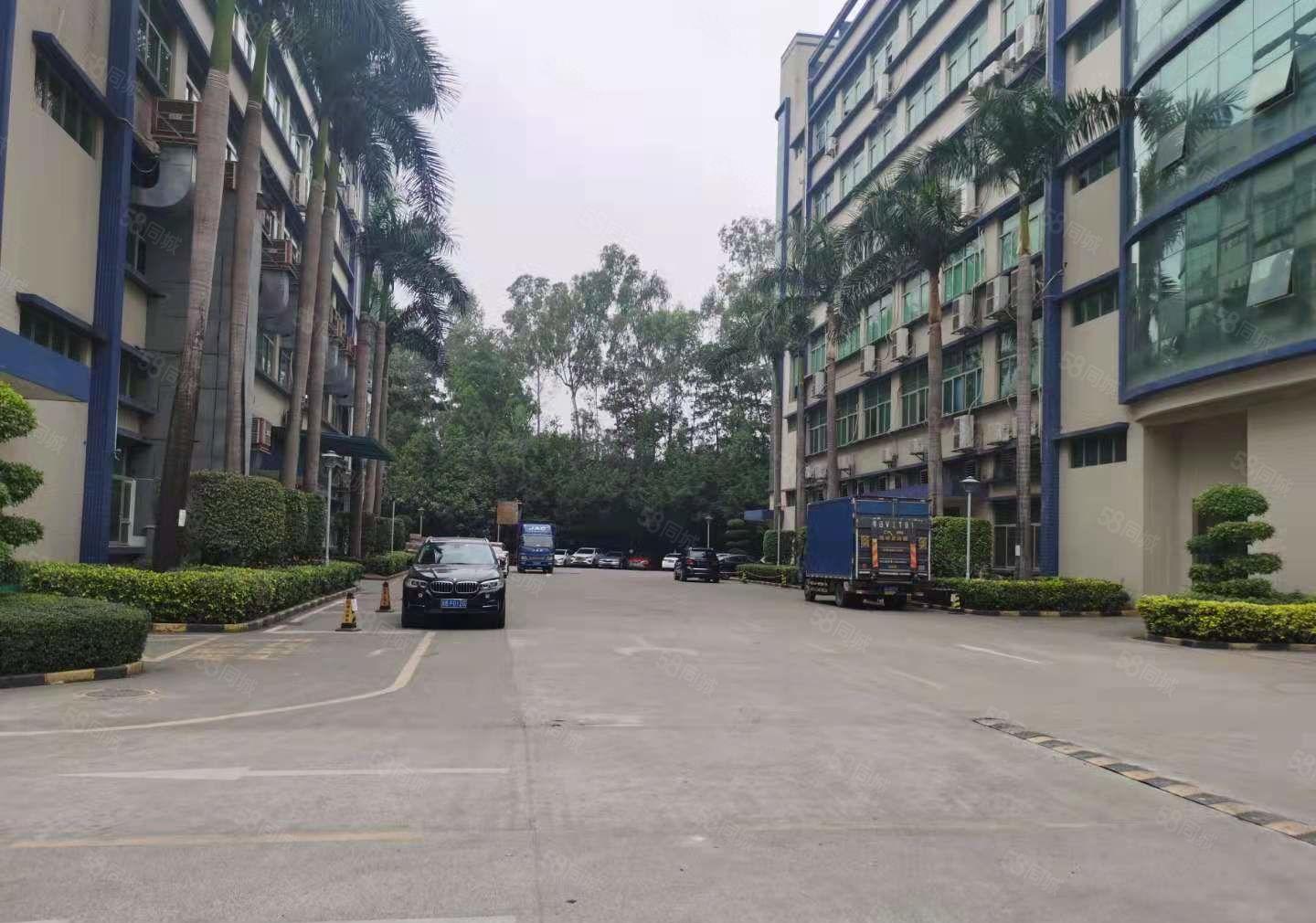 原房东！六约工业区新空出3楼1500平方带精装修厂房出租可分