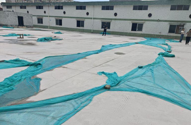 龙岗坪地坪东原房东独院钢构厂房5000平空地超大3000平