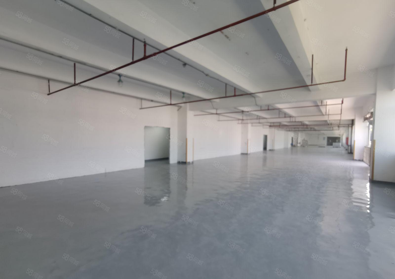 可办环评！原房东！坂田吉华新出1620平龙岗区标准厂房出租！