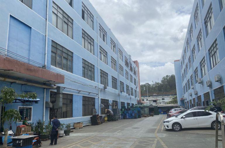 可分租，龙岗中心城原房东带红本1000平纯仓库办公室厂房出租