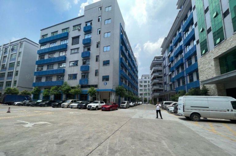 坂田布吉杨美地铁口一楼楼上300平方起租精装办公厂房仓库出租