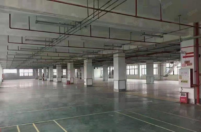 出租平湖富民工业区1500平标准厂房出租仓库招租500平起