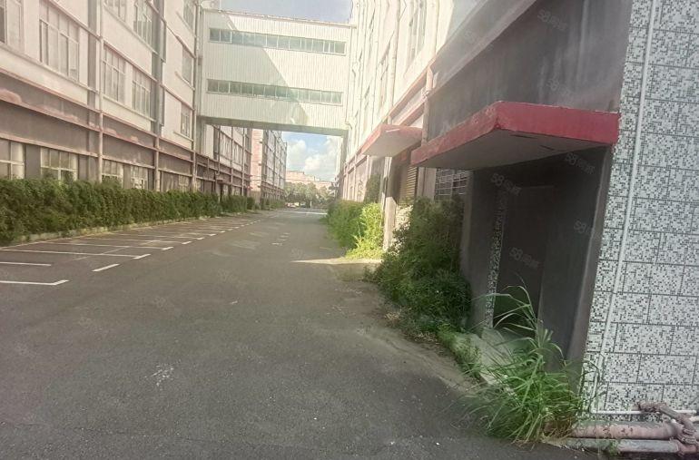 龙岗坪山原房东十万平医疗产业园1000平起租可拿租房补贴