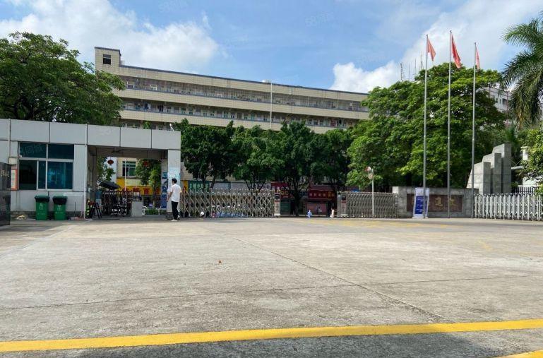 龙岗原房东花园式厂房1000至2000平带精装修独栋厂房出租