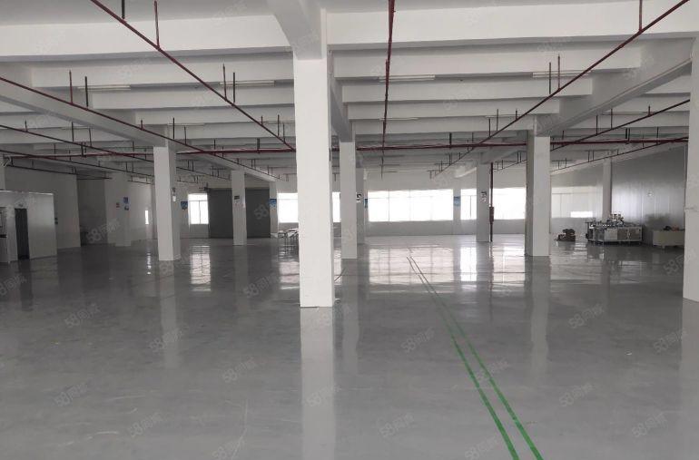 19元起租龙岗宝龙工业区新出二楼2000平厂房出租可分租一楼