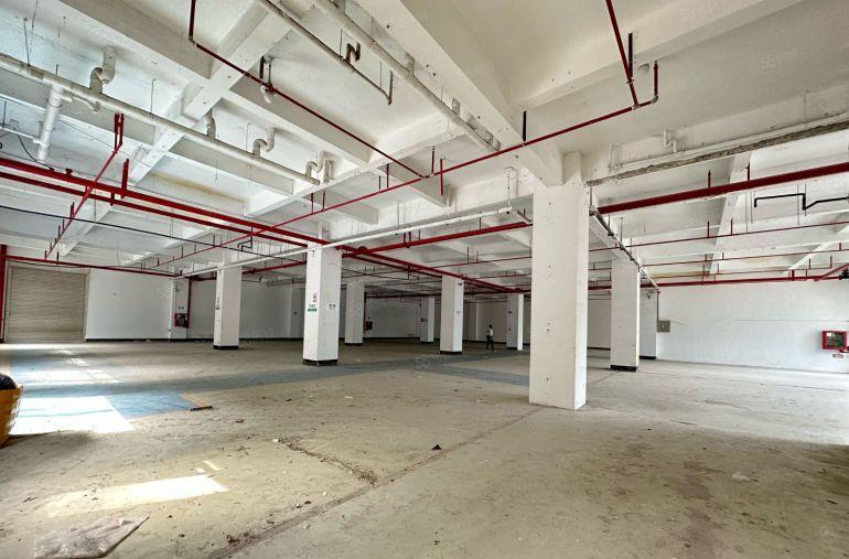 横岗带卸货平台一楼2800平 园区形象好大小分租厂房仓库出租