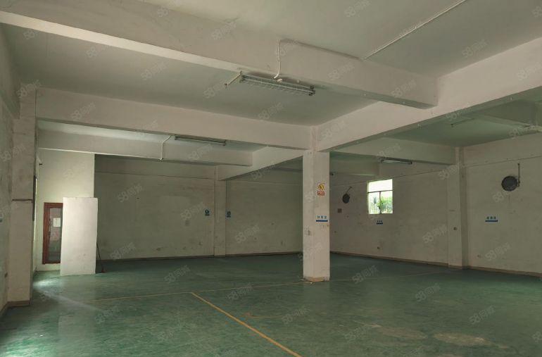 0押金一楼厂房出租仓库出租龙岗中心城200至1000