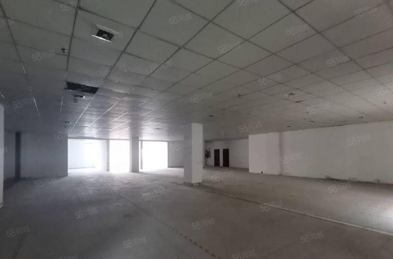 坂田新出红本补贴厂房100平200平至800平可分租