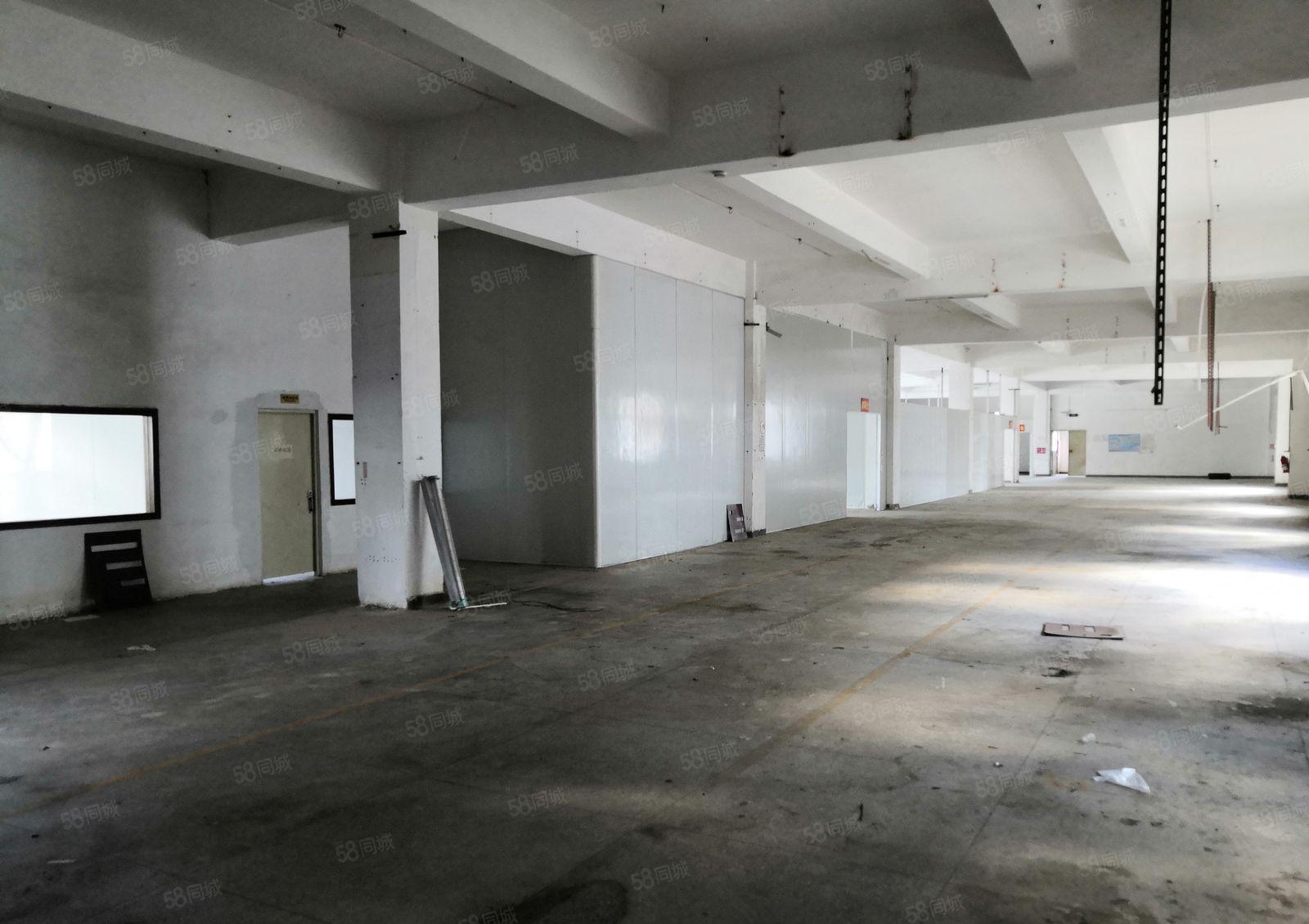 龙岗同乐15元厂房楼上单层2000m2二台二吨电梯可分租