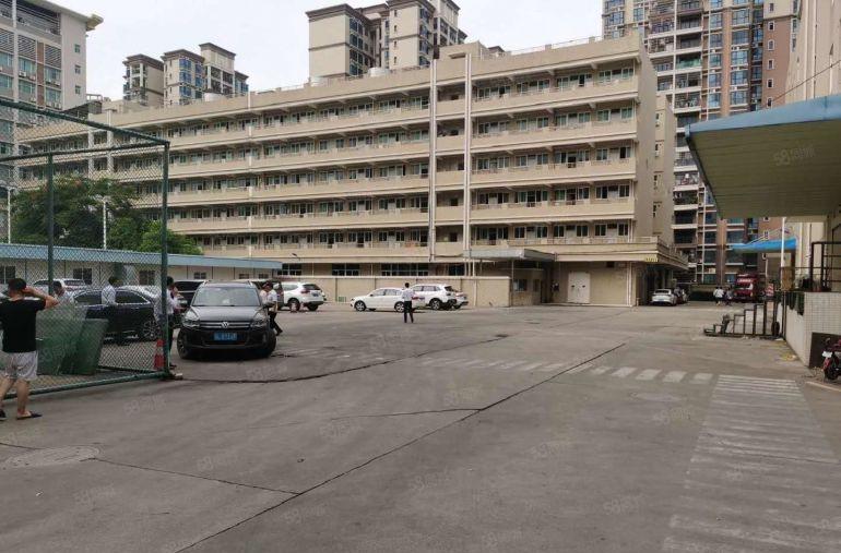 200平起平湖华南城附近工业园1000平电商办公仓库厂房出租