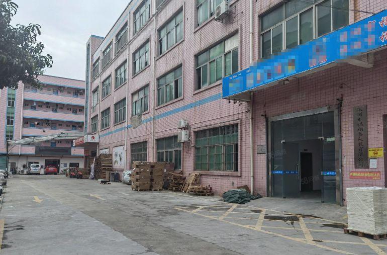 平湖独院新出一楼2100平方厂房仓库出租可分租空地大交通方便