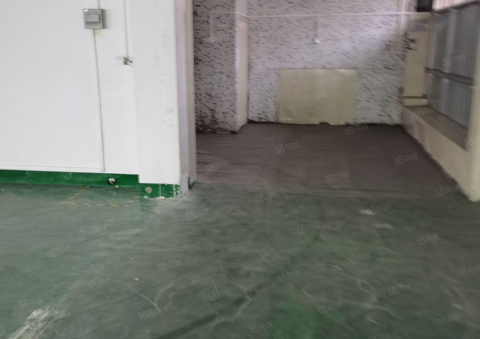 横岗安良独门独院2250平方出租