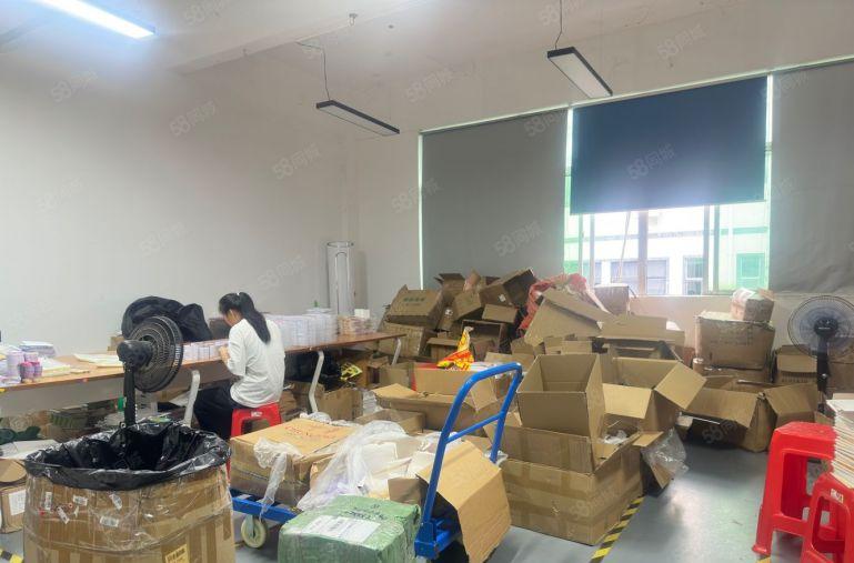 300平起，坂田岗头新出1000平办公加仓库，精装修水电齐全