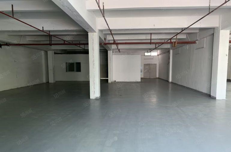 房东招租龙岗李朗100至800平送免租特价17元