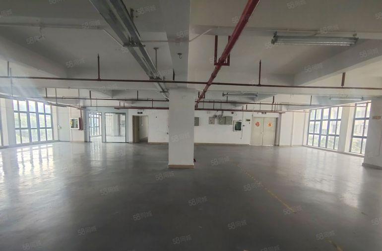 20元起租龙岗龙东新出1千平精装修厂房仓库出租可分租无转让费