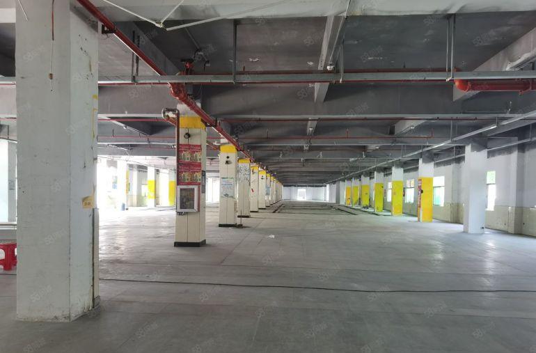 龙岗龙东地铁口独院厂房仓库3300平出租可办环评场地大易招工