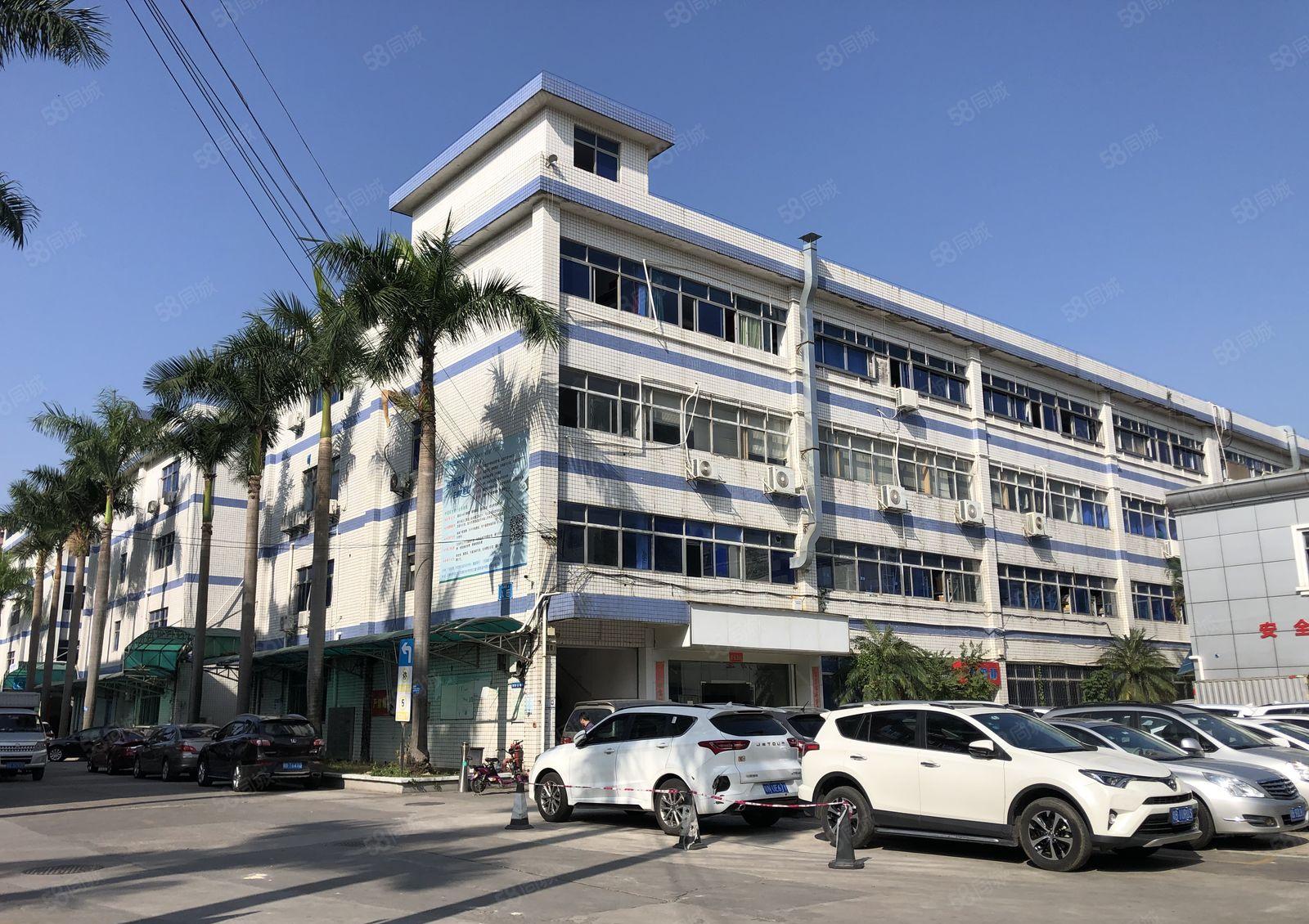 龙岗中心城新出3楼1000平米带精装修前台和办公室厂房出租