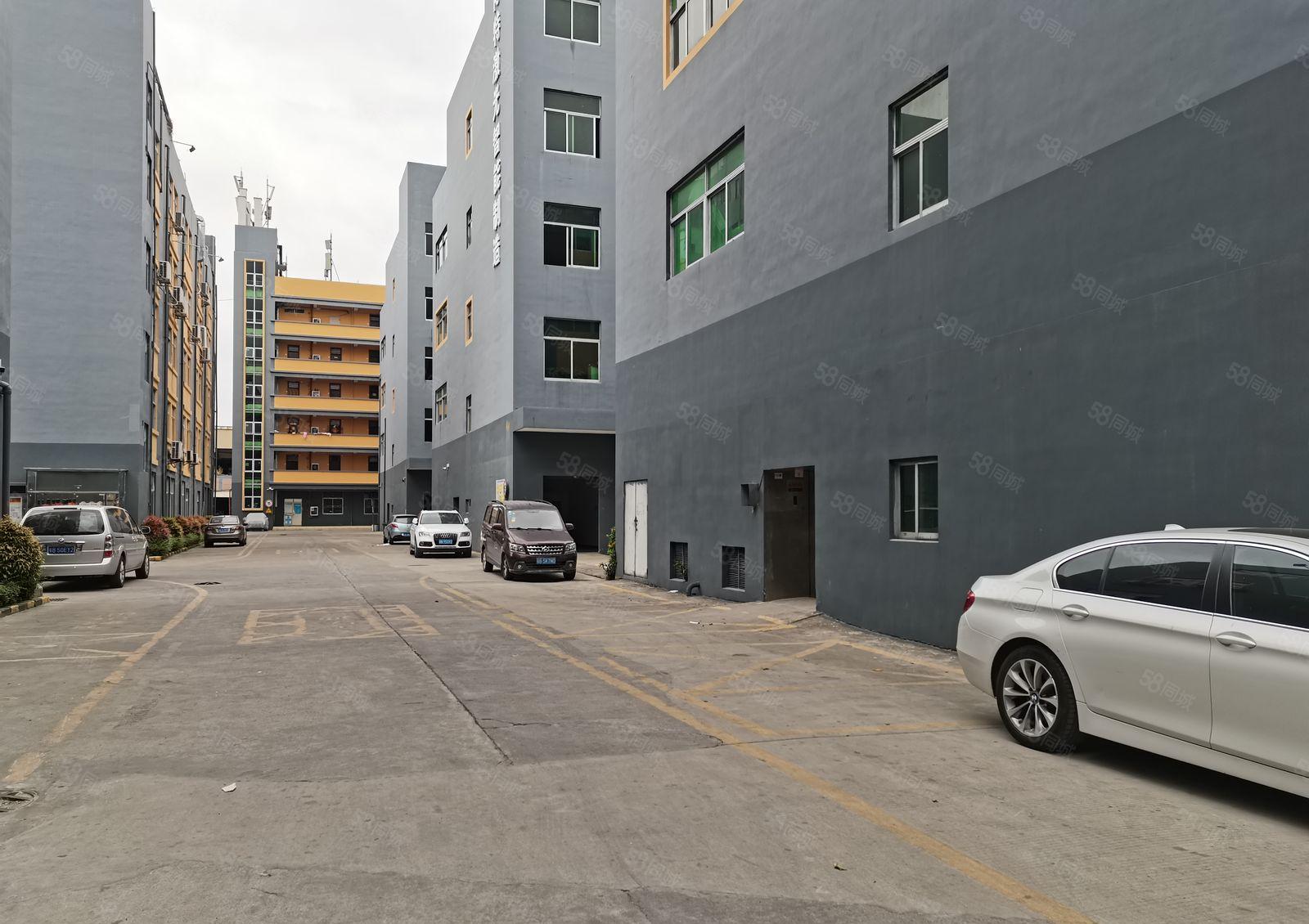 平湖辅城坳2百5百1千3千平起分租独栋1万平红本厂房仓库出租