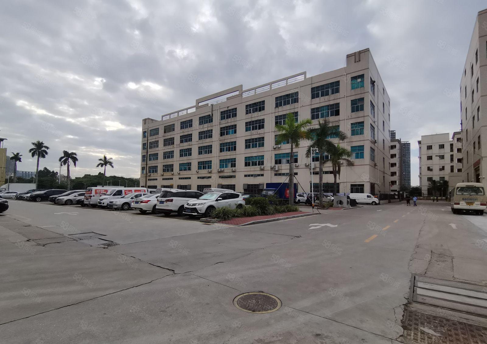 平湖富民工业区5000平独门独院厂房出租带超大空地交通便利