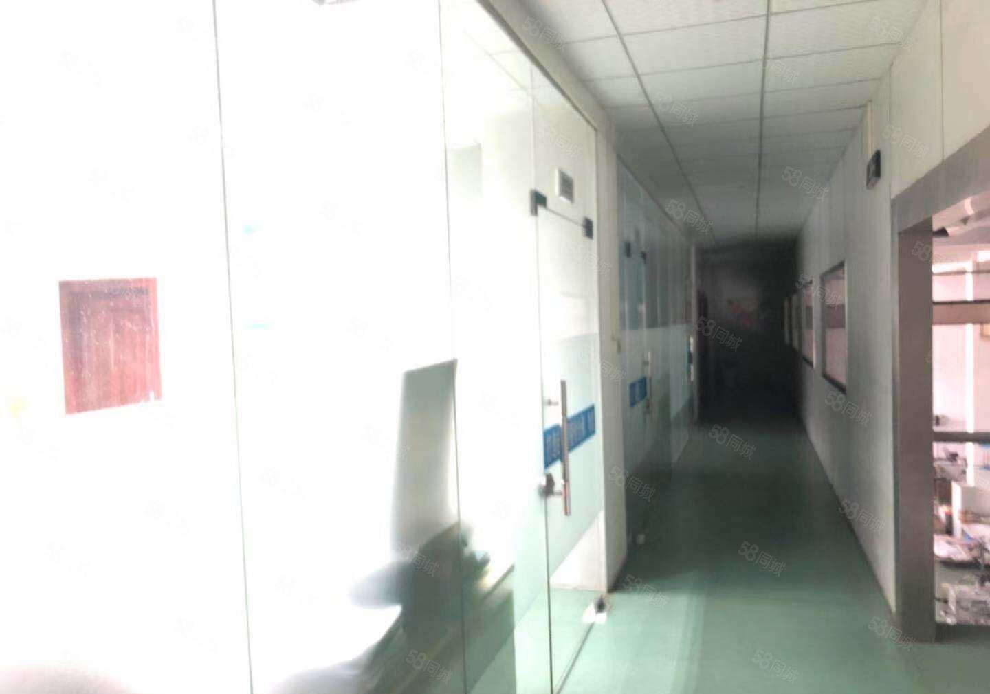 坪地四方埔经典小独院两层850平出租