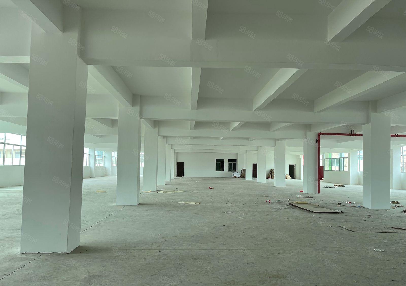 (平湖华南城附近新出独院厂房价格低至18平先到先得)