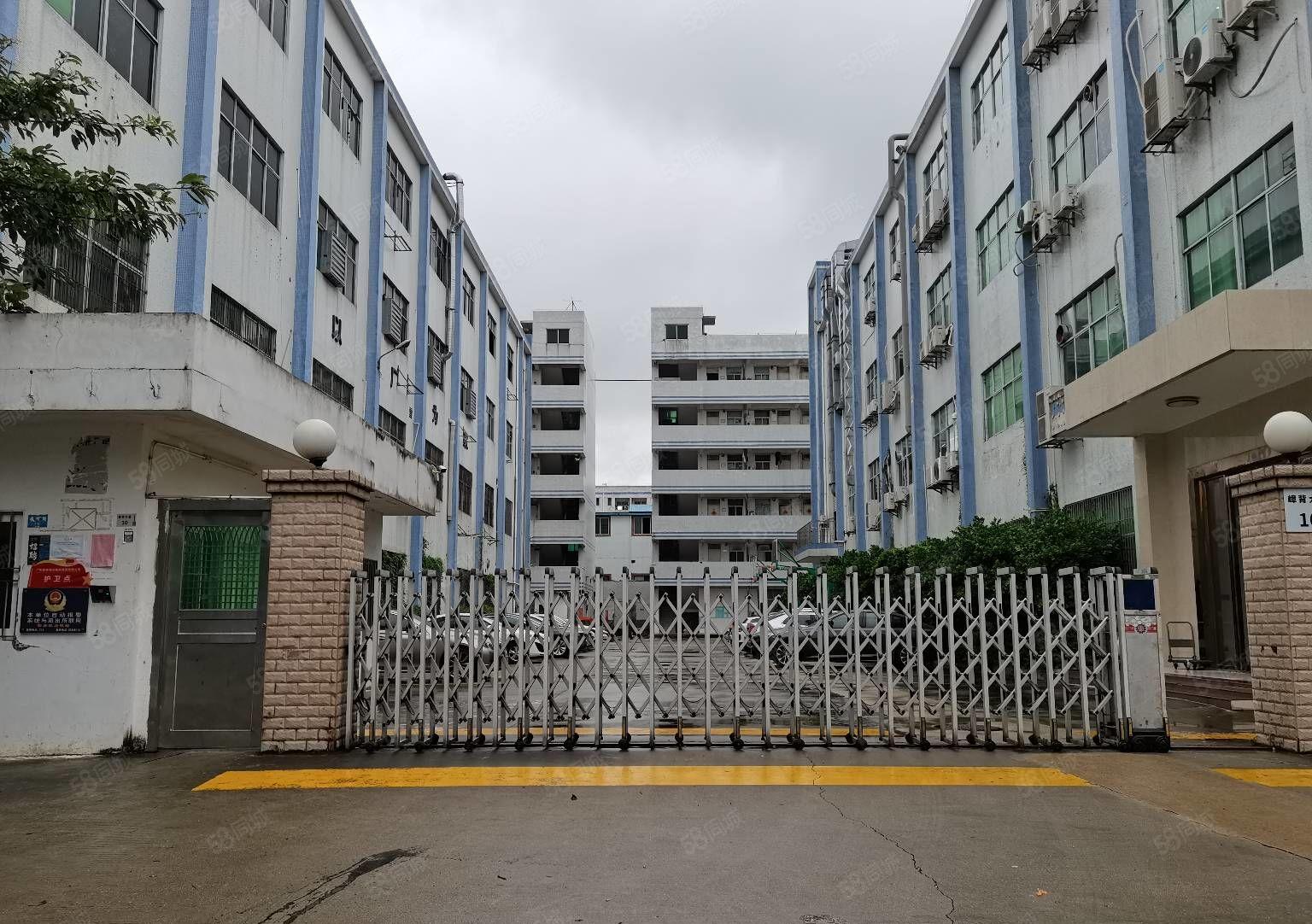 龙岗同乐新出原房东红本独院8000平带装修厂房出租可分租一楼