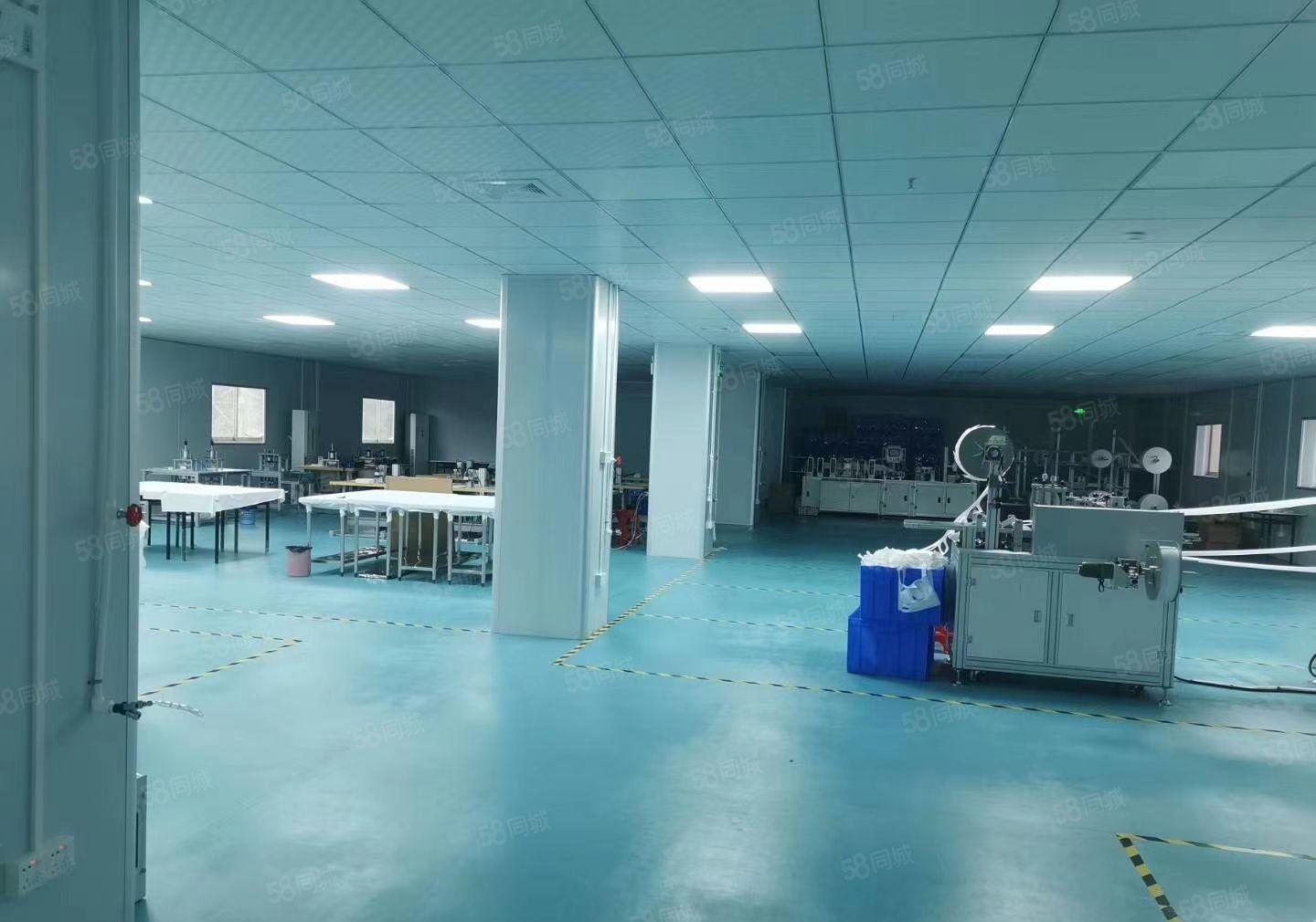 龙岗淘宝电商办公仓库贸易产业园100平200平400平出租