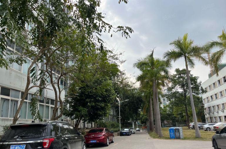 平湖华南城旁1000平电商产业园厂房仓库低价出租200起分租