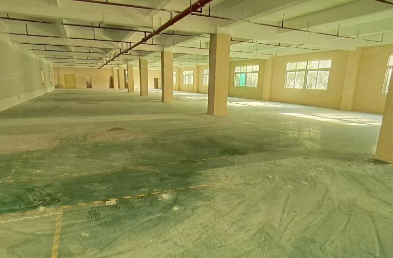 200平起租龙岗横岗5000原房东独院红本厂房仓库22元起