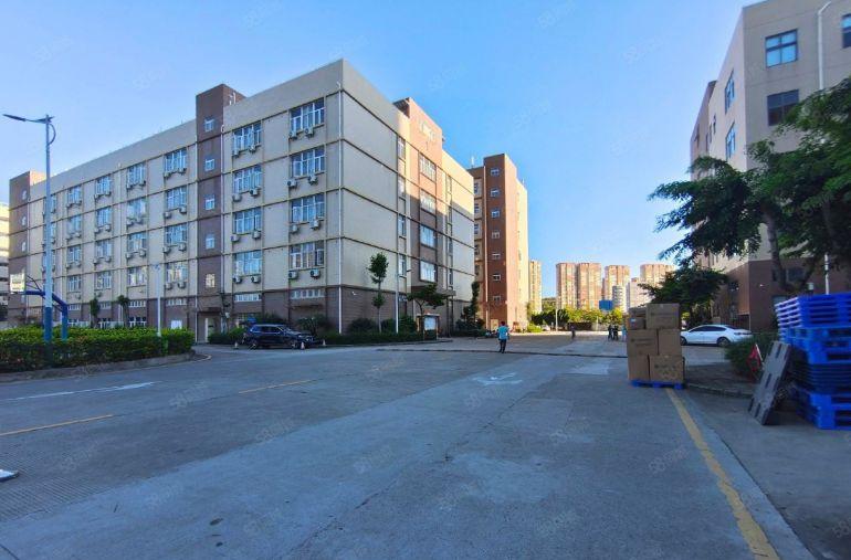 平湖辅城坳工业园单层2000平厂房仓库出租可分租带卸货平台