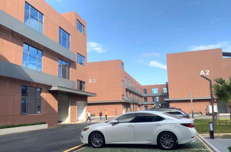 龙岗新生主干道边高新科技园300平带现成办公室装修出租