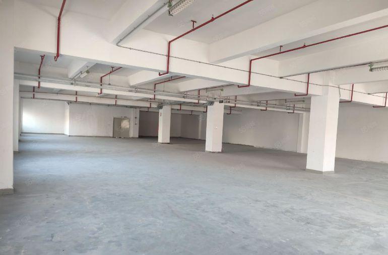 龙岗爱南路沈海高速龙岗出口厂房直租60平1393平