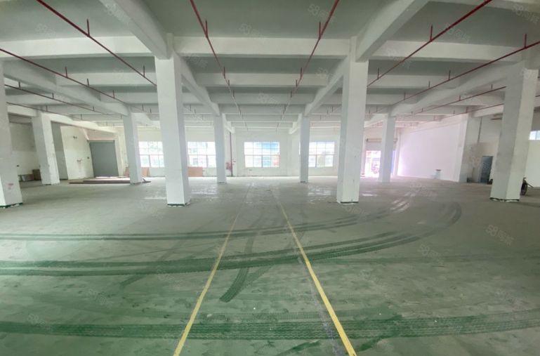 超长免租低价村委直租龙岗新空出5000平精装办公仓库厂房出租