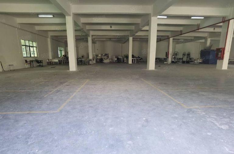 出租坂田电商园1000平厂房低价大小分厂房仓库出租转租