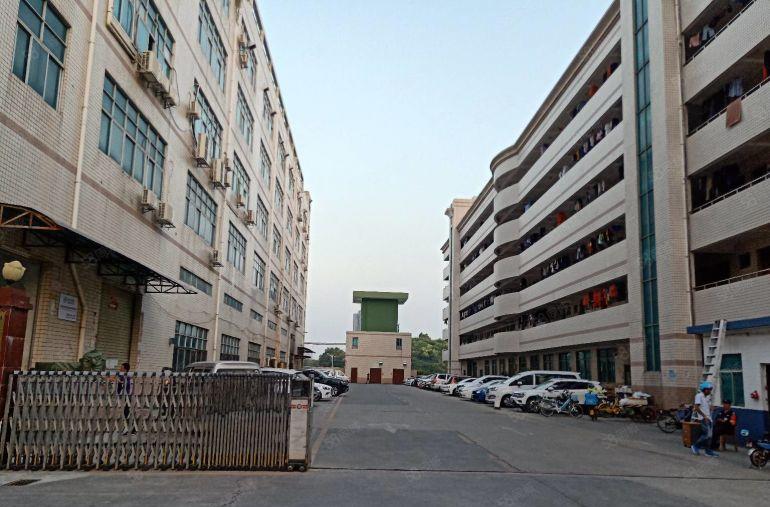 平湖新出300平500平800平1500平一二楼厂房仓库出租