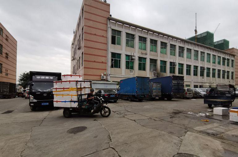 出租平湖白泥坑海吉星1600平标准厂房出租仓库招租